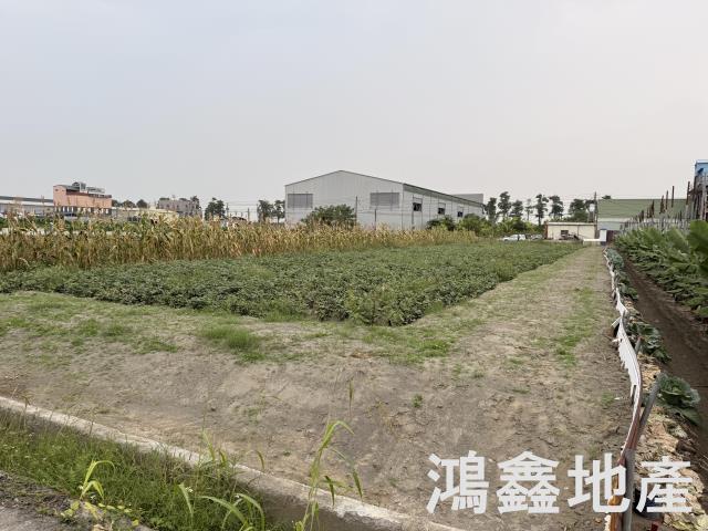 大寮農地-0